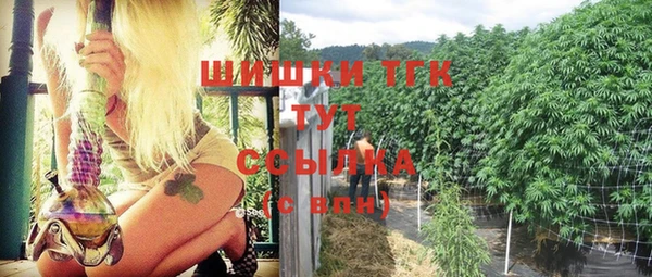 дмт Бородино