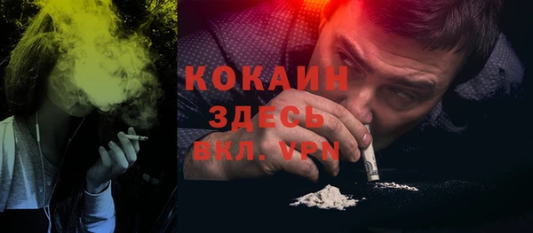 спиды Богданович