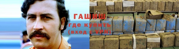 дмт Бородино