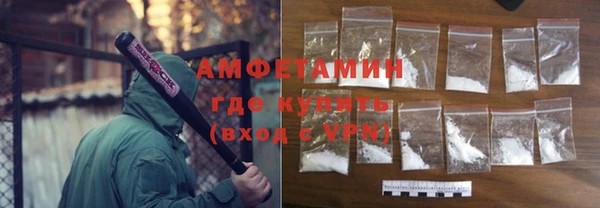 дмт Бородино