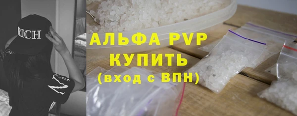 дмт Бородино