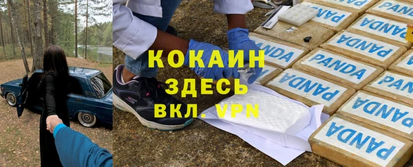 дживик Бронницы