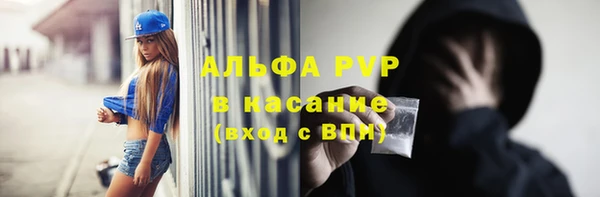дживик Бронницы