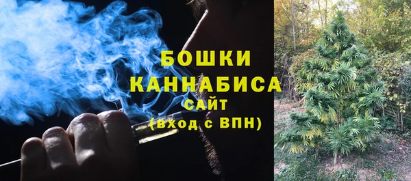 ПСИЛОЦИБИНОВЫЕ ГРИБЫ Богородицк