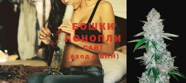 ПСИЛОЦИБИНОВЫЕ ГРИБЫ Богородицк