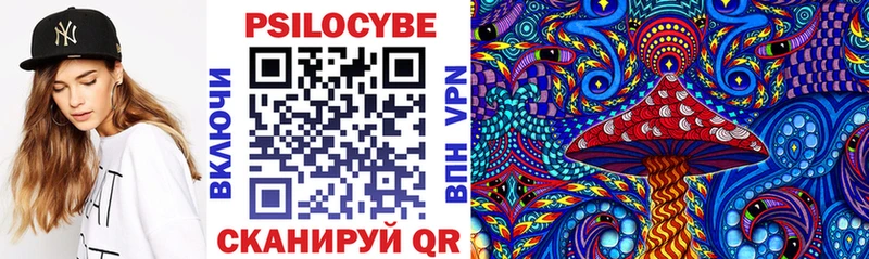 закладка  Наро-Фоминск  Псилоцибиновые грибы Psilocybe 